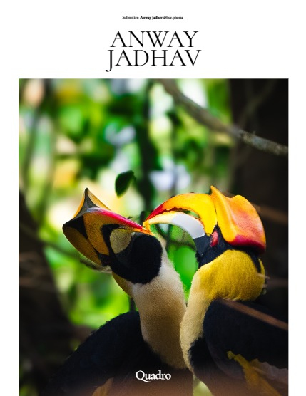 QUADRO MAGAZINE - NATURE & TRAVEL MARCH (Vol 940), page 4