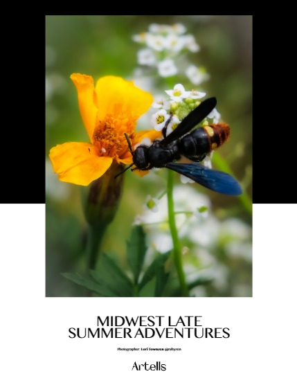 ARTELLS MAGAZINE - NATURE & TRAVELS OCTOBER (Vol 3619), page 4