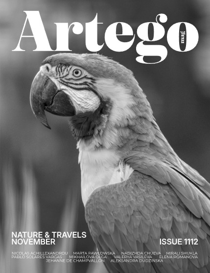 ARTEGO MAGAZINE - NATURE & TRAVELS NOVEMBER ISSUE 1112, page 1