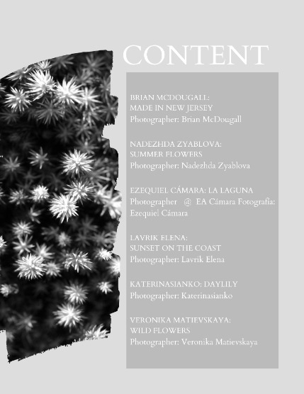 Bold & Beyond Nature (Issue 467 August 2025), page 2