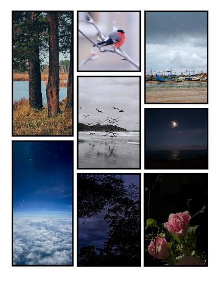 ARTEGO MAGAZINE -  NATURE & TRAVELS DECEMBER ISSUE 1153, page 3