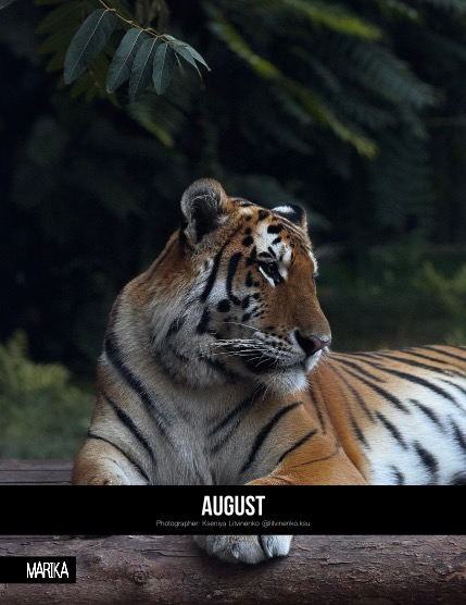 MARIKA MAGAZINE NATURE & TRAVELS (ISSUE 5900 - SEPTEMBER), page 4