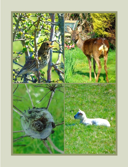 Bold & Beyond Nature (Issue 269 May 2025), page 3