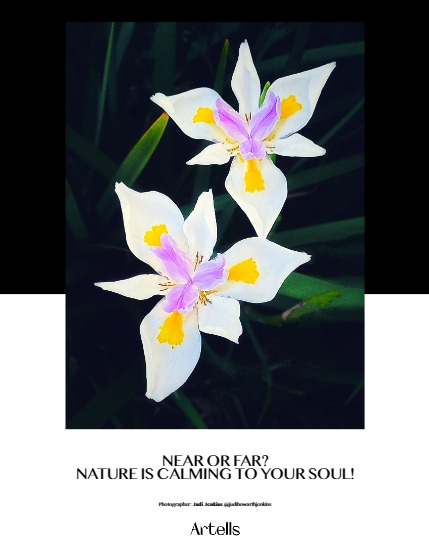 ARTELLS MAGAZINE - NATURE & TRAVELS JULY (Vol 4177), page 4