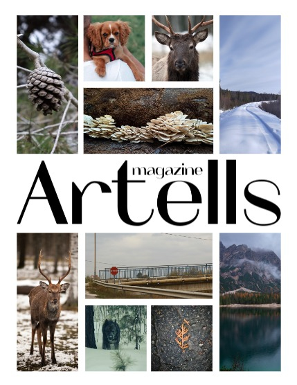 ARTELLS MAGAZINE - NATURE & TRAVELS JANUARY (Vol 3806), page 2