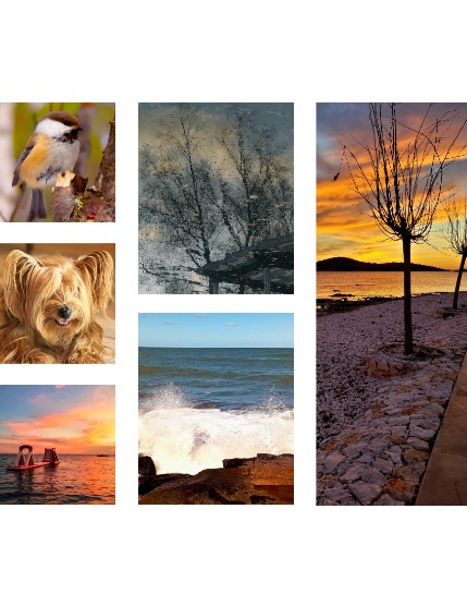 FIGGI MAGAZINE - NATURE & TRAVEL DECEMBER (Vol 1919), page 2