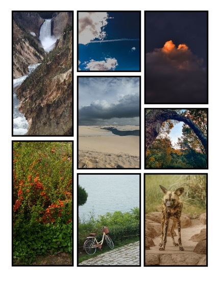 ARTEGO MAGAZINE - NATURE & TRAVELS FEBRUARY ISSUE 1207, page 3