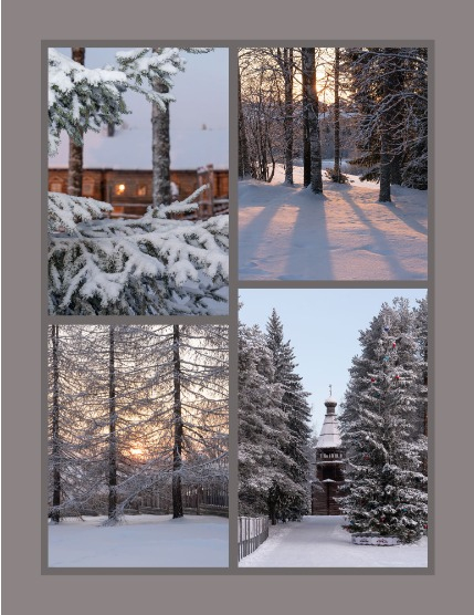 Bold & Beyond Nature (Issue 667 January 2026), page 3