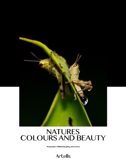 ARTELLS MAGAZINE - NATURE & TRAVEL SEPTEMBER (Vol 3554), page 4