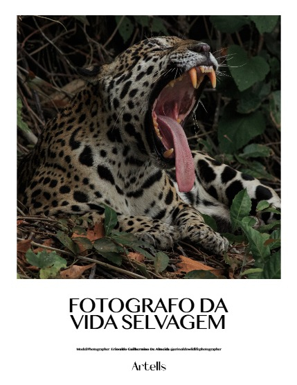 ARTELLS MAGAZINE - NATURE & TRAVELS FEBRUARY (Vol 3853), page 4