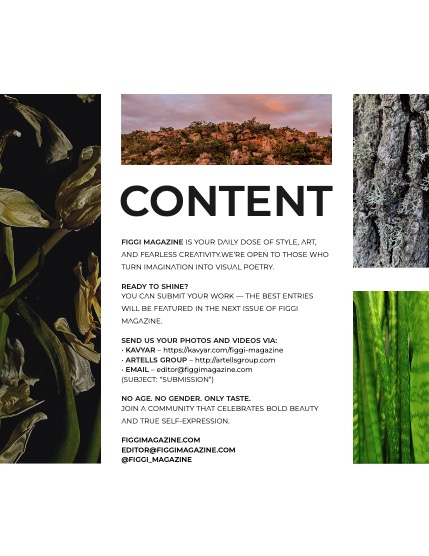 FIGGI MAGAZINE - NATURE & TRAVEL MAY (Vol 1544), page 3