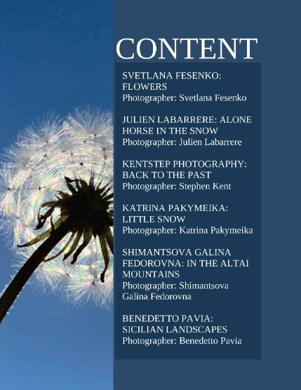 Bold & Beyond Nature (Issue 651 January 2026), page 2