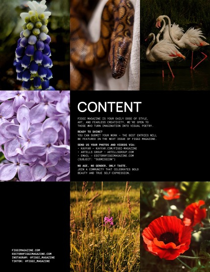 FIGGI MAGAZINE - NATURE & TRAVEL JULY (Vol 2224), page 2