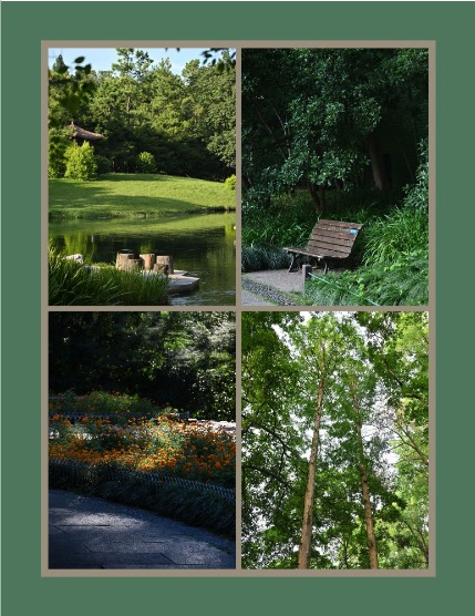 Bold & Beyond Nature (Issue 514 September 2025), page 3