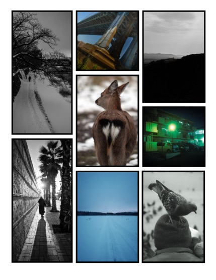 ARTEGO MAGAZINE - NATURE & TRAVELS JANUARY ISSUE 1188, page 3