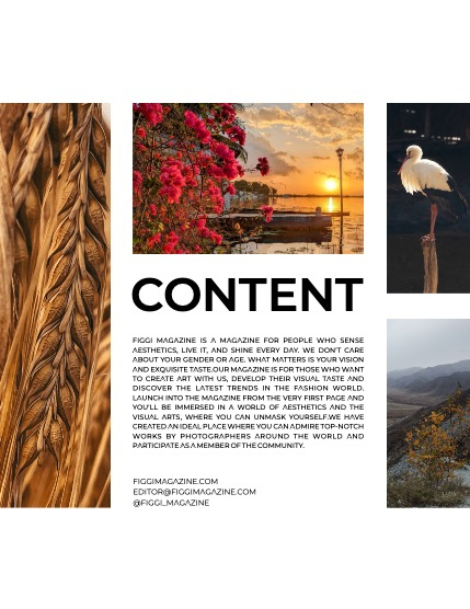 FIGGI MAGAZINE - NATURE & TRAVEL MARCH (Vol 1442), page 3
