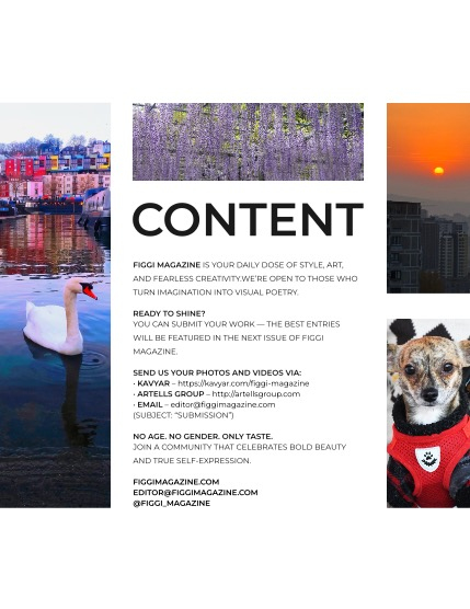 FIGGI MAGAZINE - NATURE & TRAVEL DECEMBER (Vol 1919), page 3