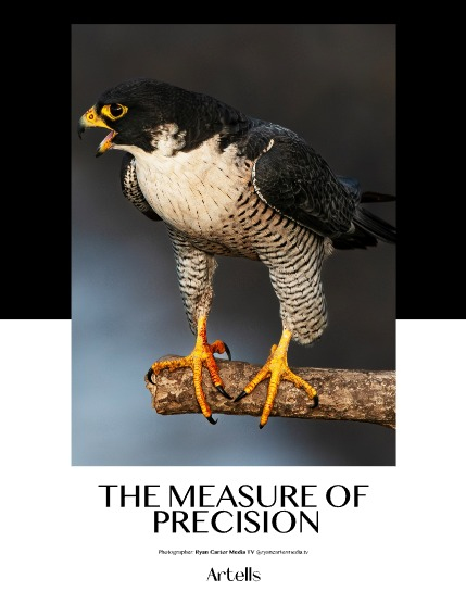 ARTELLS MAGAZINE - NATURE & TRAVELS FEBRUARY (Vol 3856), page 4