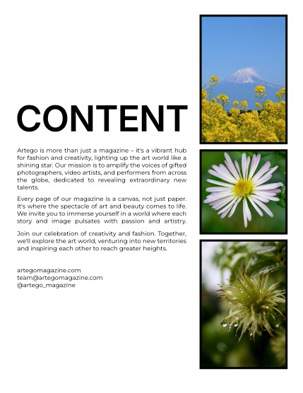 ARTEGO MAGAZINE - NATURE & TRAVELS OCTOBER ISSUE 1072, page 2