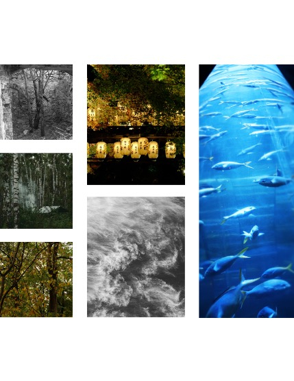 FIGGI MAGAZINE - NATURE & TRAVEL SEPTEMBER (Vol 1777), page 2