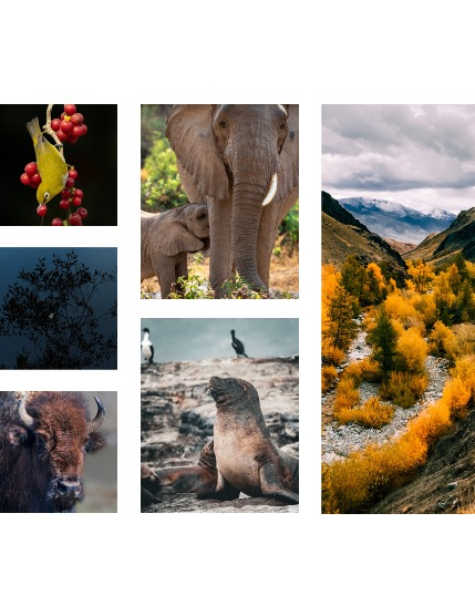 FIGGI MAGAZINE - NATURE & TRAVEL FEBRUARY (Vol 1989), page 2