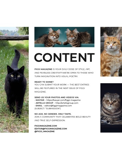 FIGGI MAGAZINE - LOVELY PETS AUGUST (Vol 1726), page 3