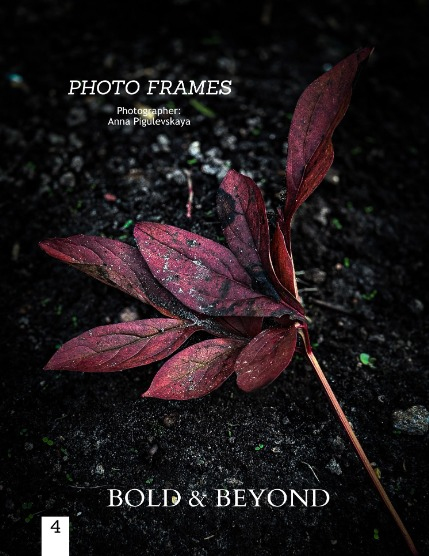 Bold & Beyond Nature (Issue 787 February 2026), page 4