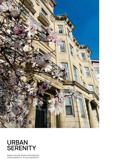 FIGGI MAGAZINE - NATURE & TRAVEL JUNE (Vol 2193), page 4