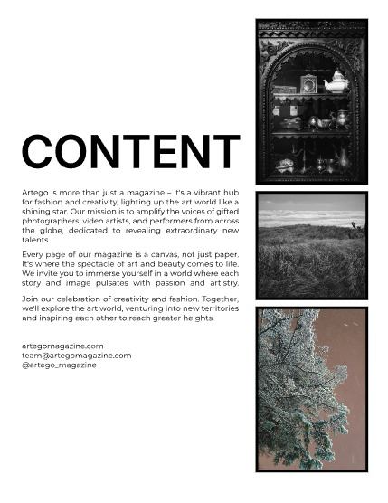 ARTEGO MAGAZINE -  NATURE & TRAVELS DECEMBER ISSUE 1152, page 2