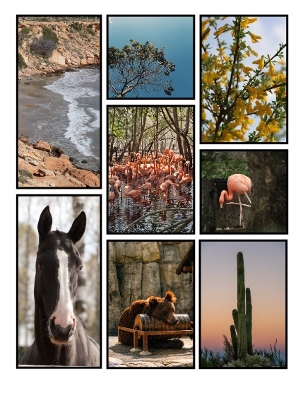 ARTEGO MAGAZINE - NATURE & TRAVELS MARCH ISSUE 1250, page 3