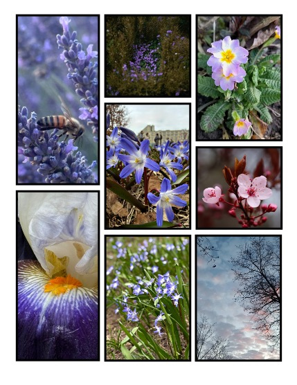 ARTEGO MAGAZINE - NATURE & TRAVELS APRIL ISSUE 1309, page 3