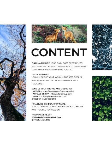 FIGGI MAGAZINE - NATURE & TRAVEL FEBRUARY (Vol 1989), page 3