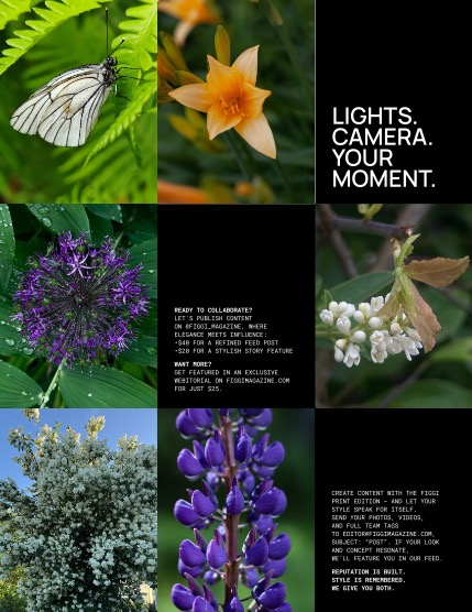 FIGGI MAGAZINE - NATURE & TRAVEL JULY (Vol 2224), page 3