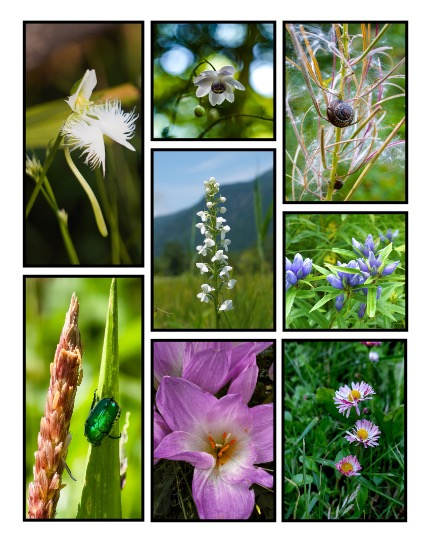 ARTEGO MAGAZINE - NATURE & TRAVELS OCTOBER ISSUE 1072, page 3