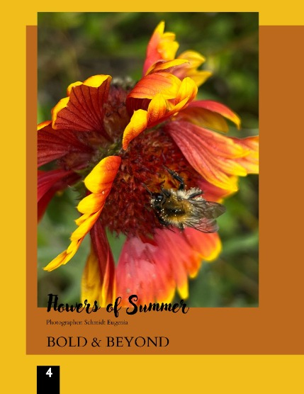 Bold & Beyond Nature (Issue 445 August 2025), page 4