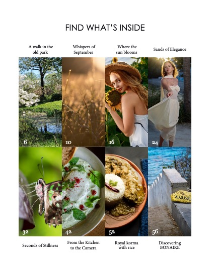 Luxia Mag 669, page 3