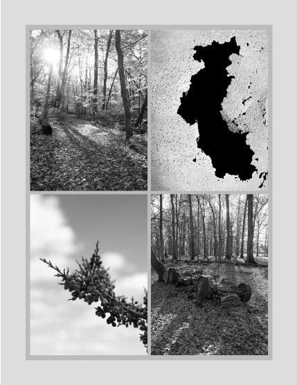 Bold & Beyond Nature (Issue 467 August 2025), page 3