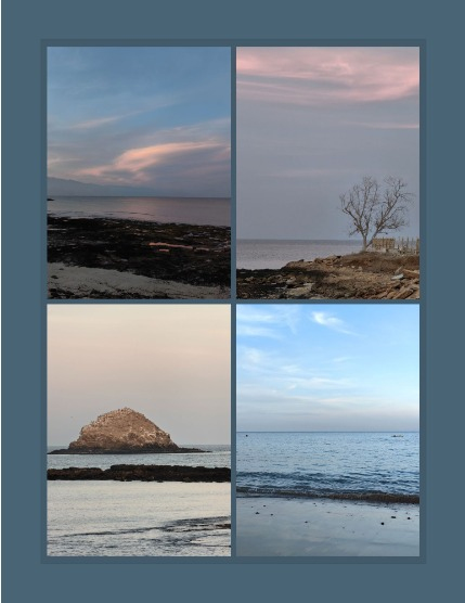 Bold & Beyond Nature (Issue 653 January 2026), page 3