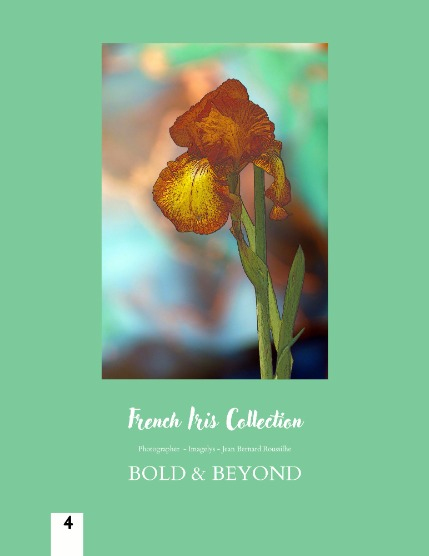 Bold & Beyond Nature (Issue 508 September 2025), page 4