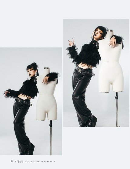 CALARE Vol 004, page 8