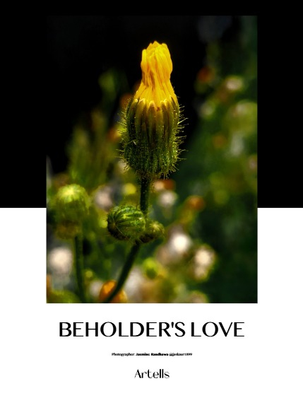 ARTELLS MAGAZINE - NATURE & TRAVELS MARCH (Vol 3913), page 4