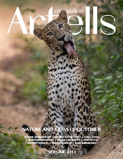ARTELLS MAGAZINE - NATURE & TRAVELS OCTOBER (Vol 4311), page 1