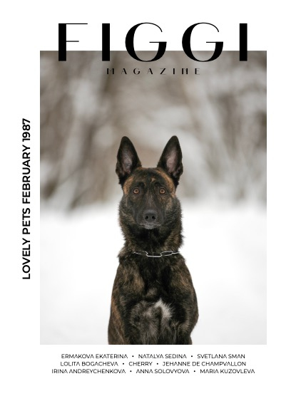 FIGGI MAGAZINE - LOVELY PETS FEBRUARY (Vol 1987), page 1