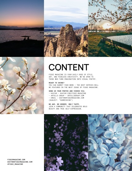 FIGGI MAGAZINE - NATURE & TRAVEL JUNE (Vol 2195), page 2