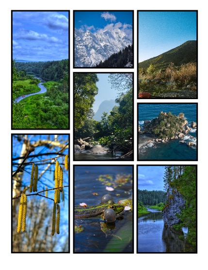 ARTEGO MAGAZINE - NATURE & TRAVELS APRIL ISSUE 1311, page 3