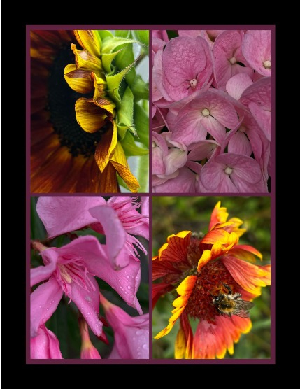 Bold & Beyond Nature (Issue 445 August 2025), page 3