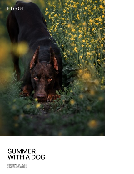 FIGGI MAGAZINE - LOVELY PETS AUGUST (Vol 2237), page 4