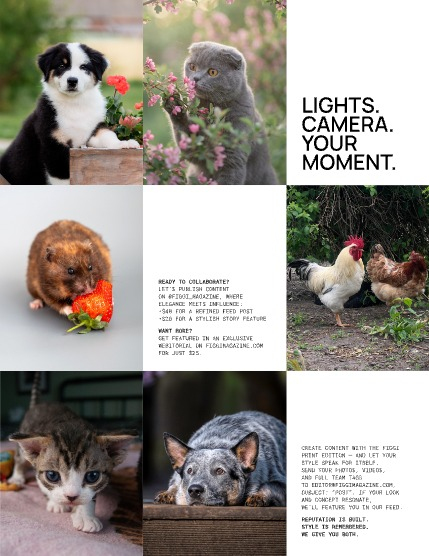 FIGGI MAGAZINE - LOVELY PETS AUGUST (Vol 2177), page 3