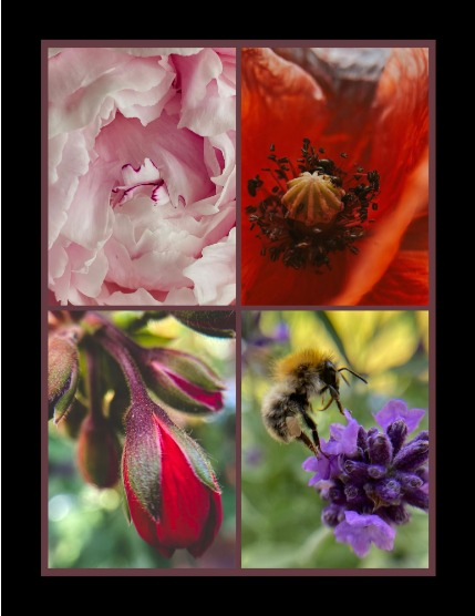 Bold & Beyond Nature (Issue 443 August 2025), page 3