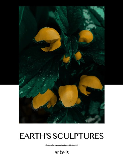 ARTELLS MAGAZINE - NATURE & TRAVEL SEPTEMBER (Vol 3565), page 4